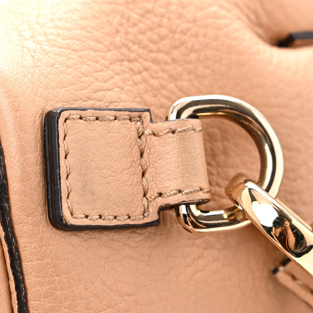 Suede Calfskin Mini Faye Backpack Blush Nude