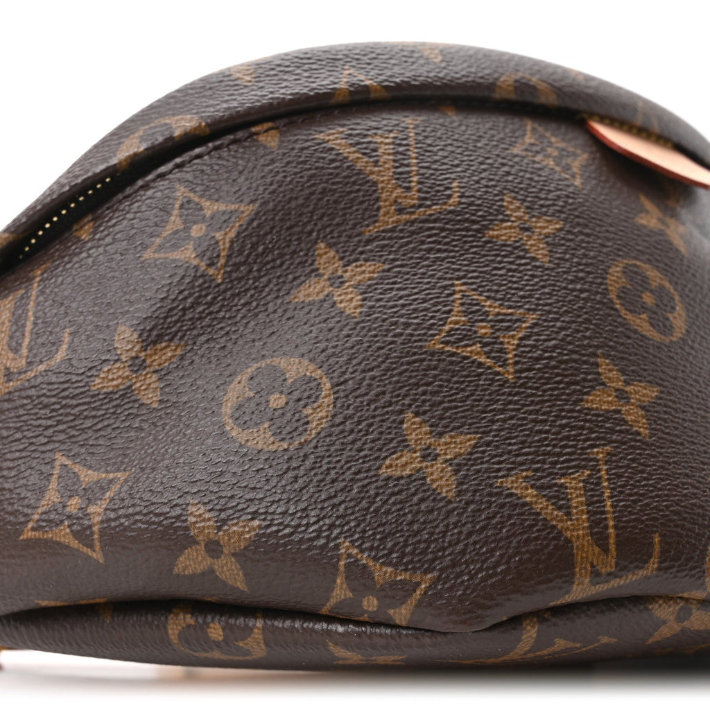 Monogram Bumbag