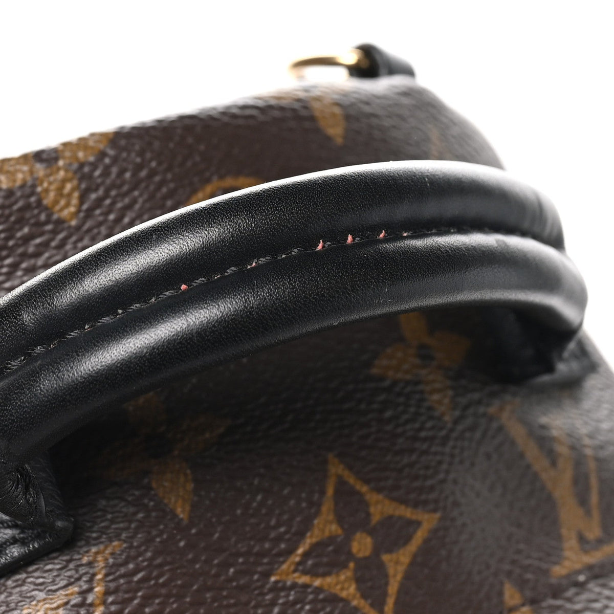 Monogram Palm Springs Backpack Mini