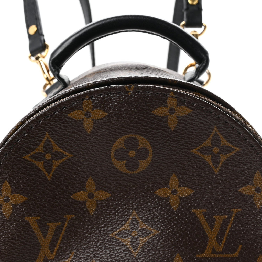 Monogram Palm Springs Backpack Mini