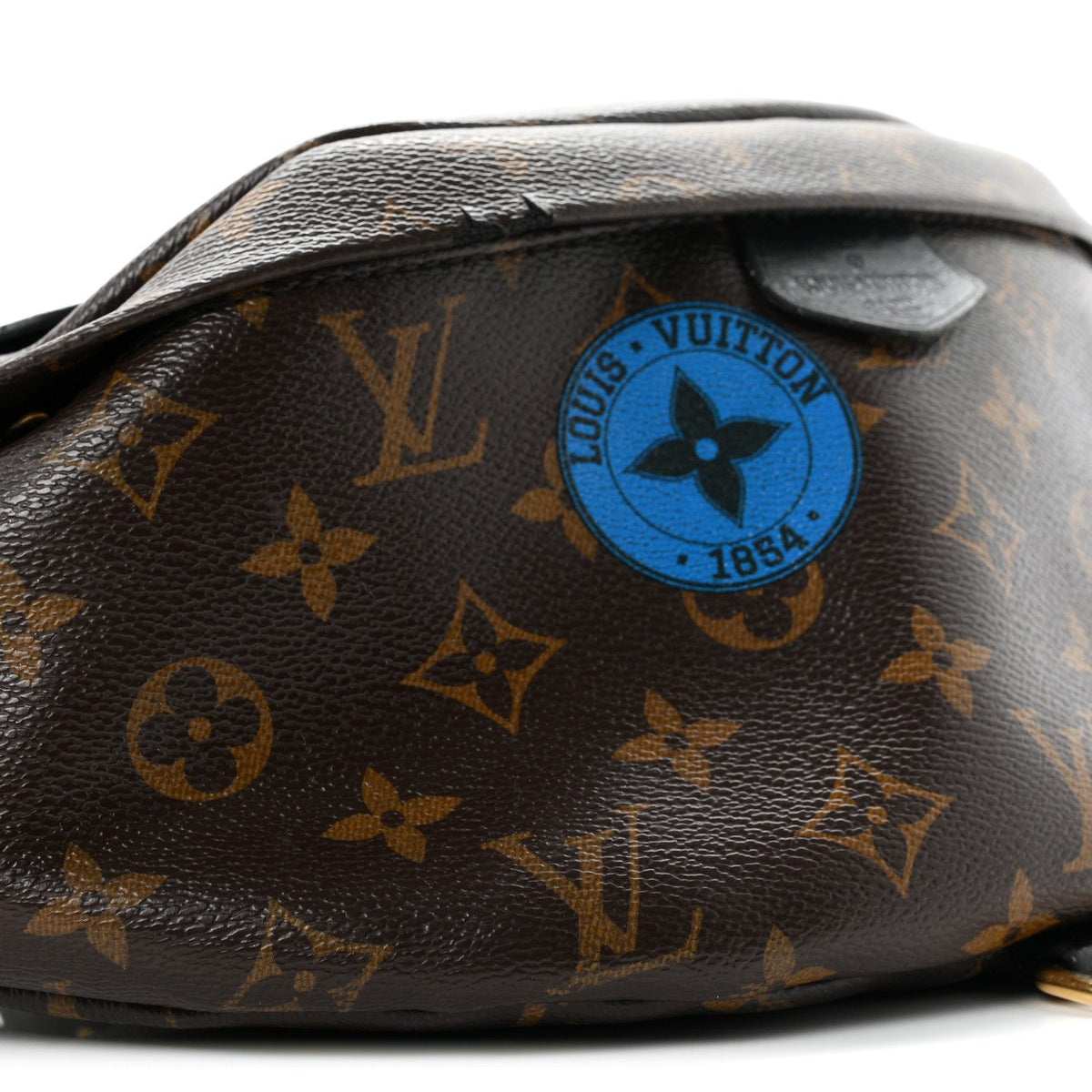 Monogram My LV World Tour Bumbag