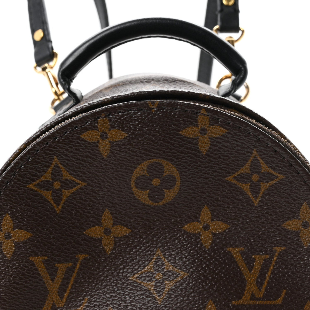 Monogram Palm Springs Backpack Mini