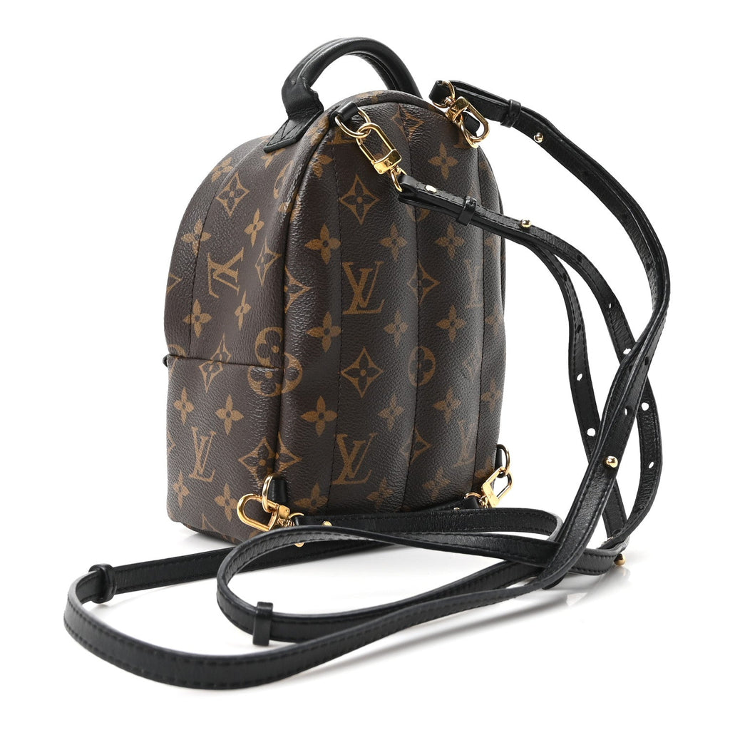 Monogram Palm Springs Backpack Mini