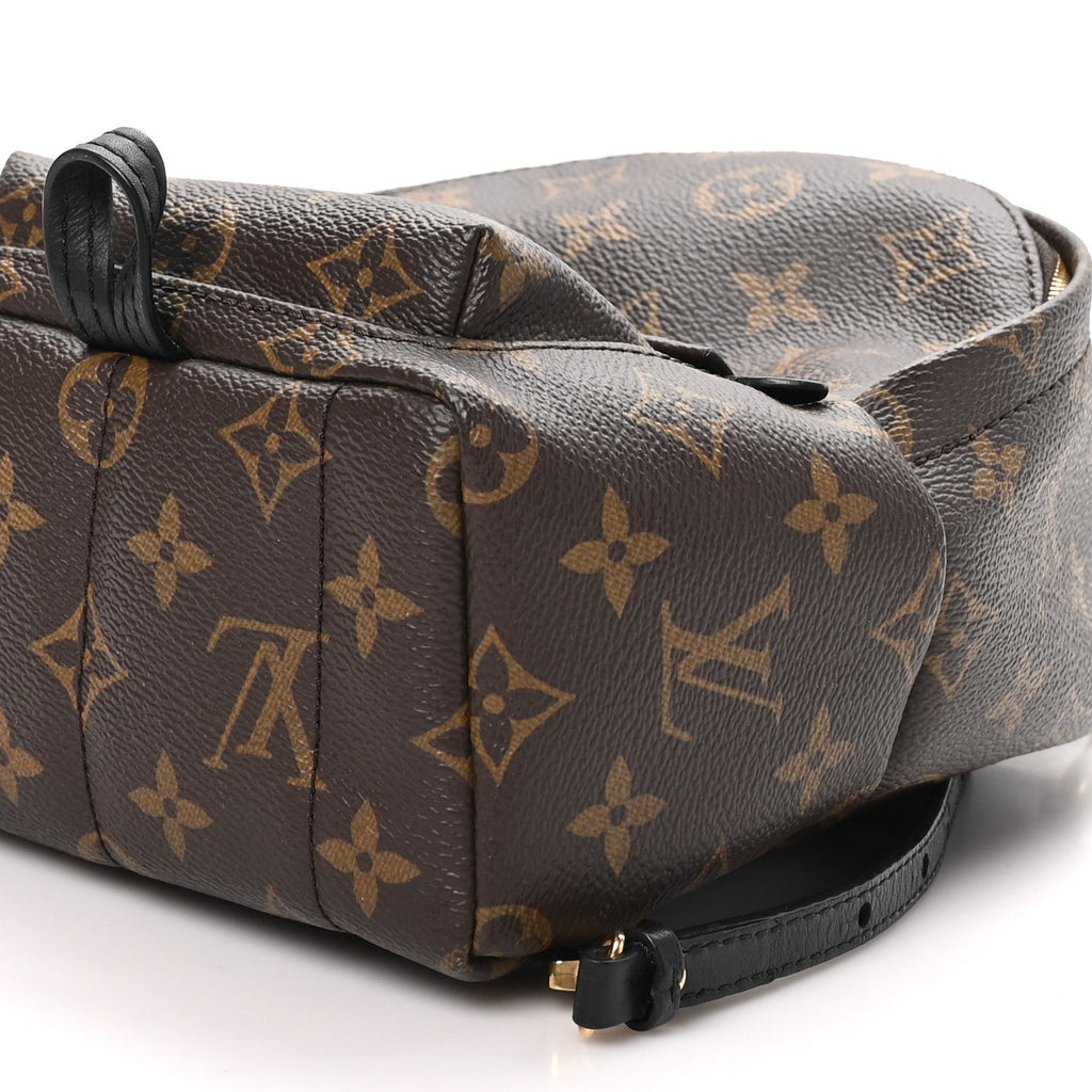 Monogram Palm Springs Backpack Mini