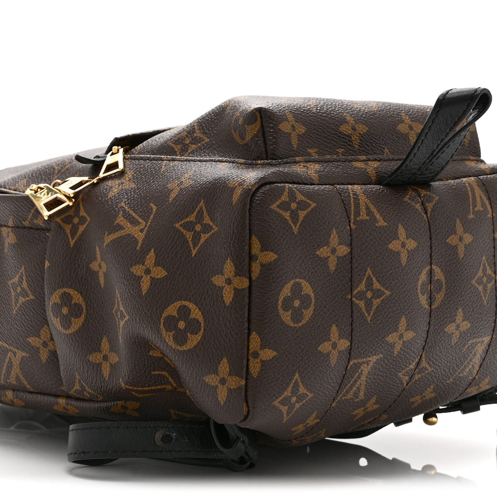 Monogram Palm Springs Backpack PM
