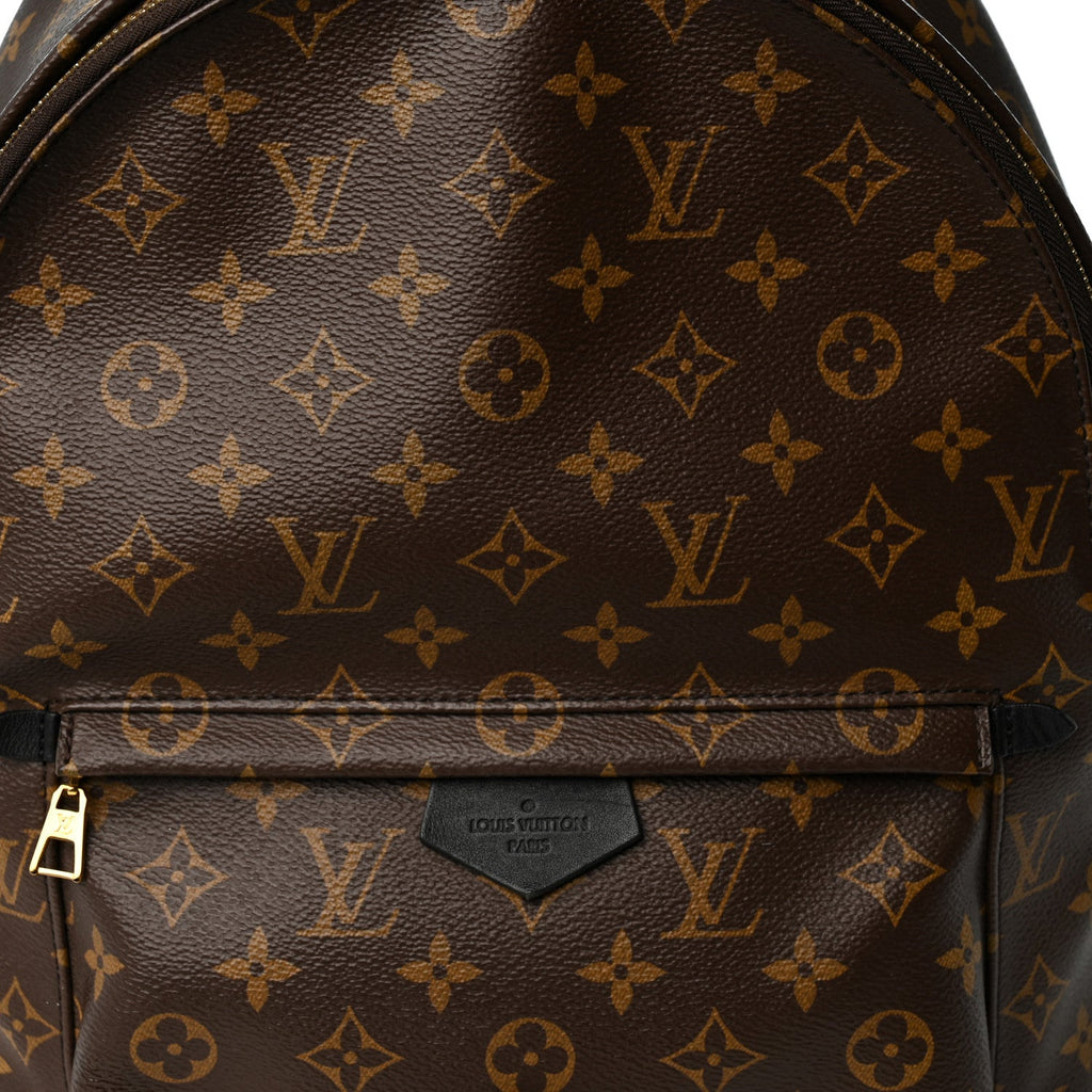 Monogram Palm Springs Backpack MM