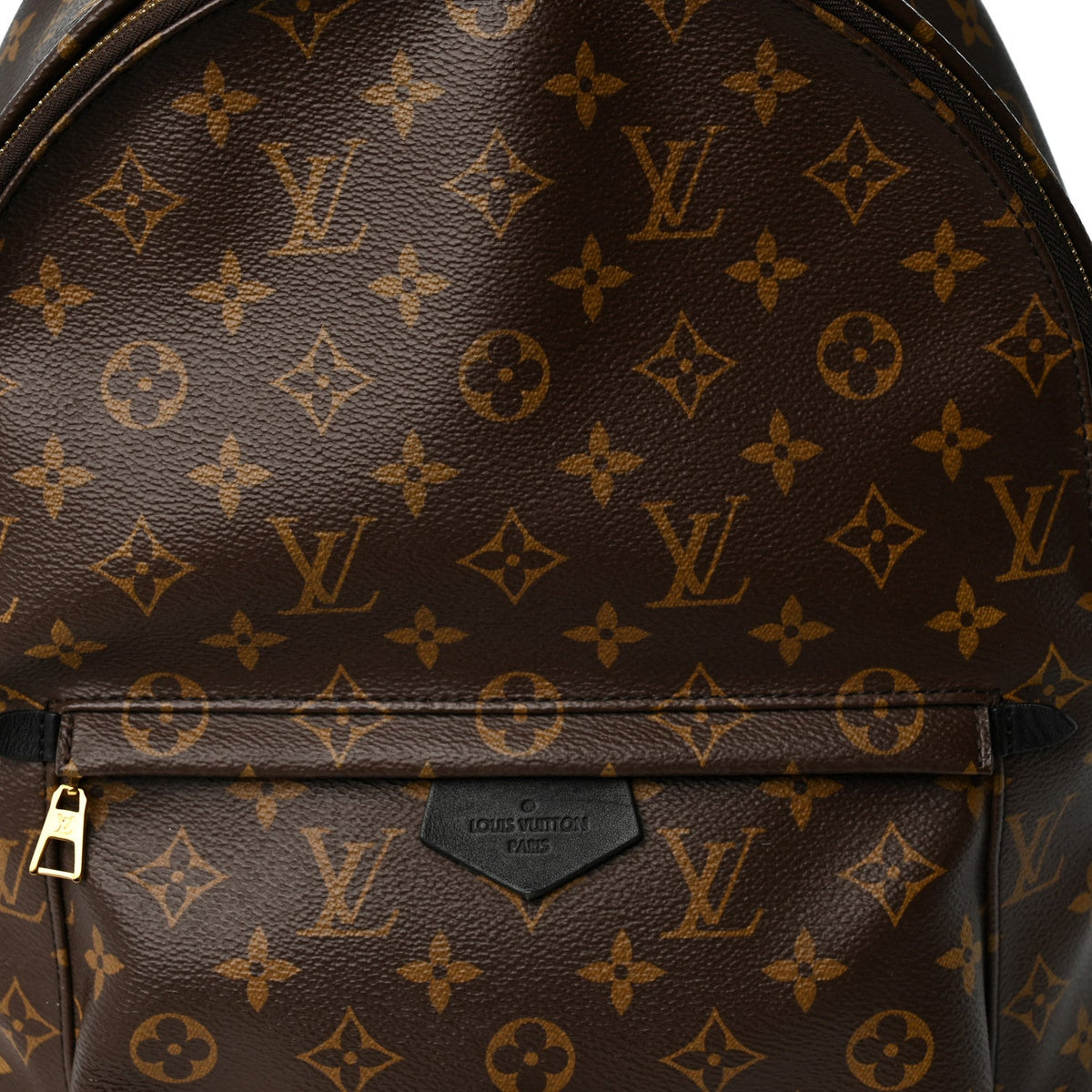 Monogram Palm Springs Backpack MM