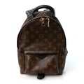 Monogram Palm Springs Backpack PM