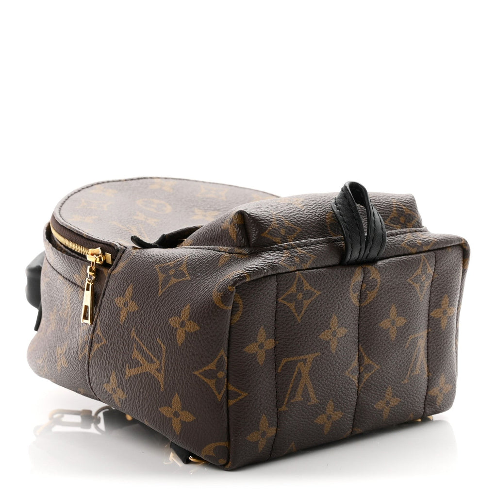 Monogram Palm Springs Backpack Mini