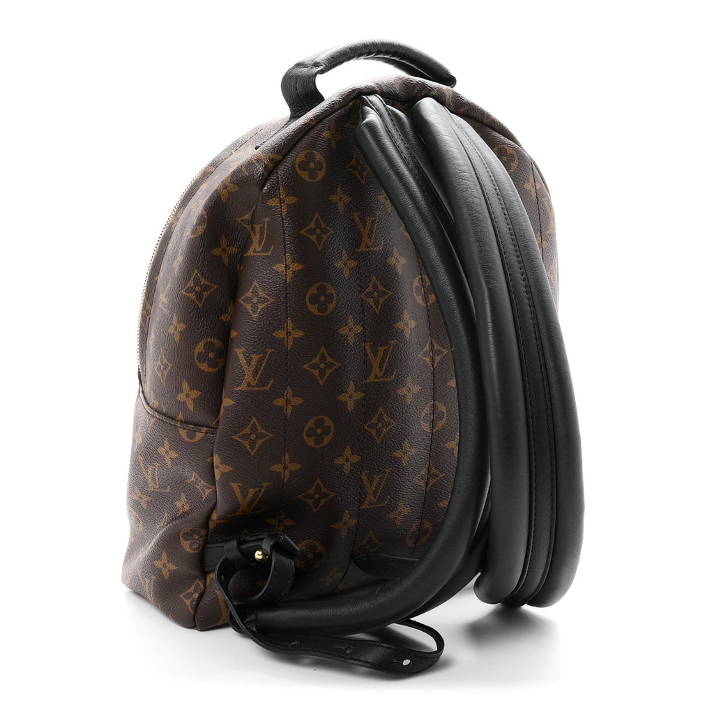 Monogram Palm Springs Backpack MM