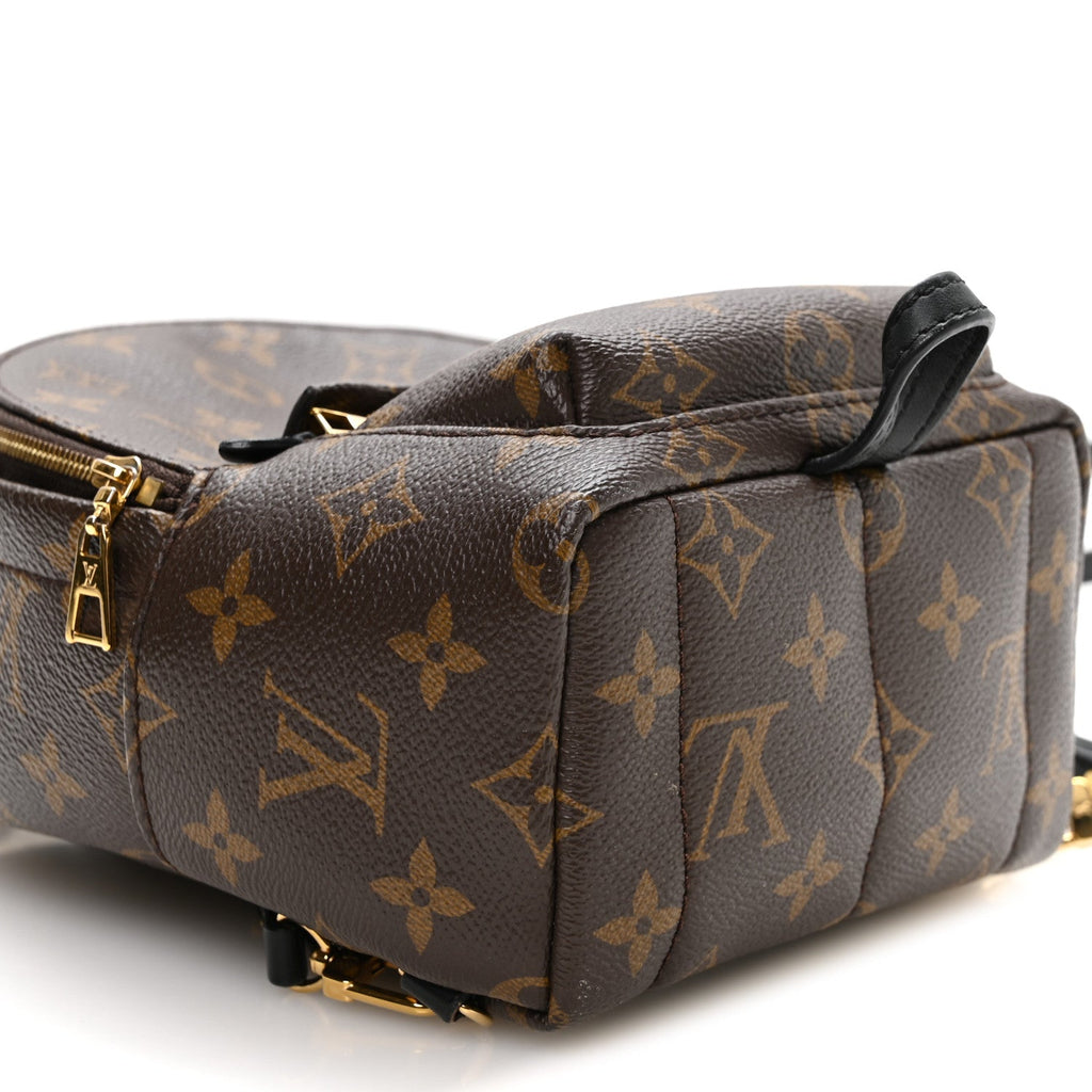 Monogram Palm Springs Backpack Mini