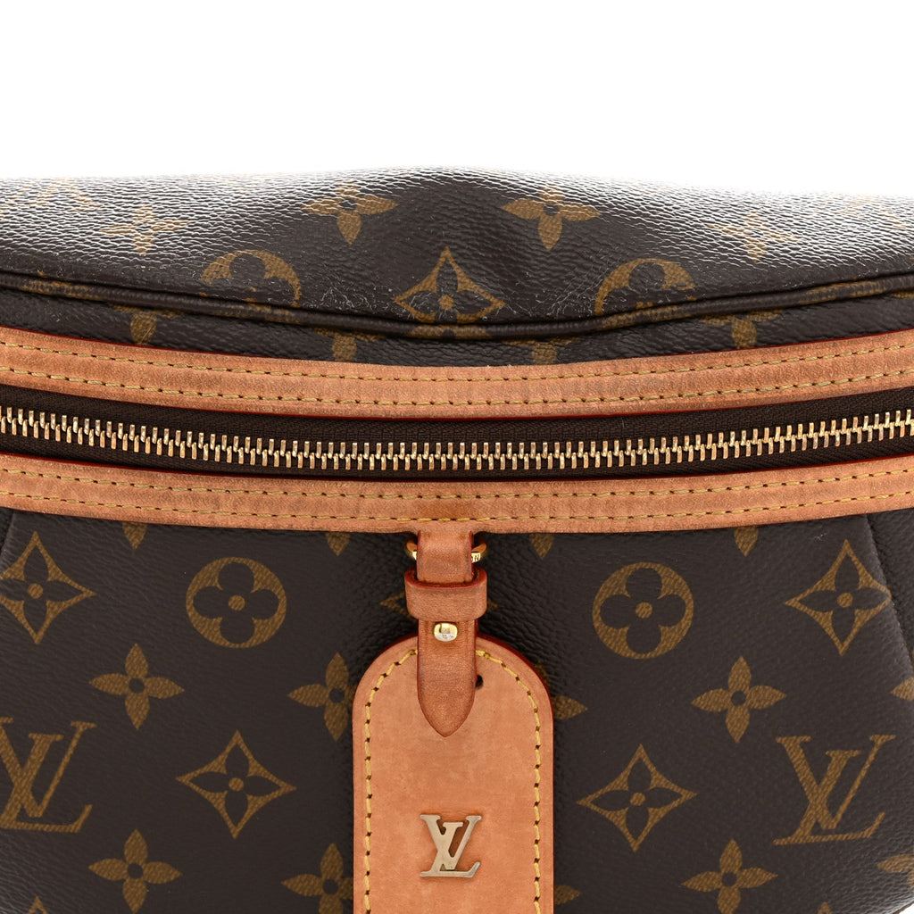 Monogram High Rise Bumbag