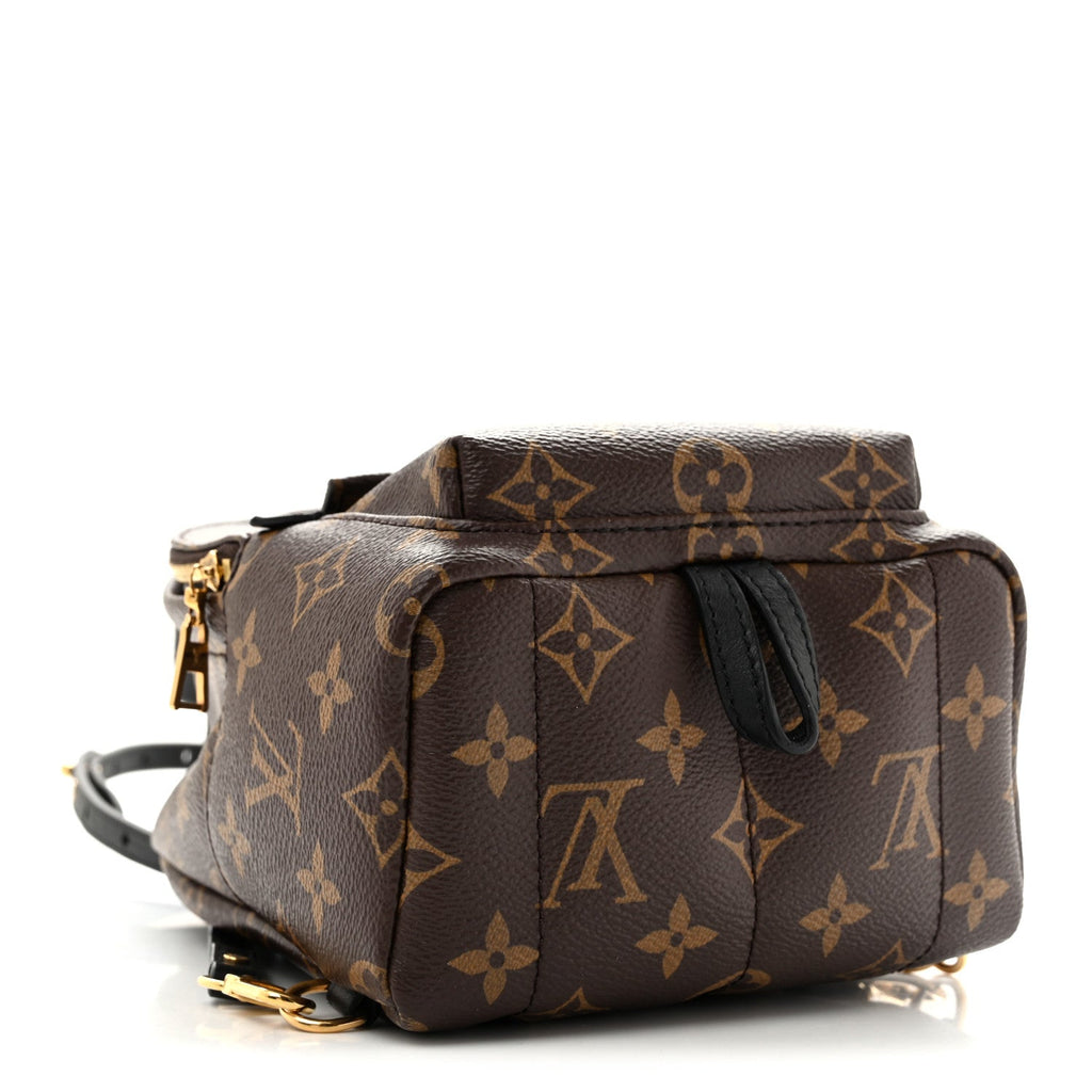 Monogram Palm Springs Backpack Mini