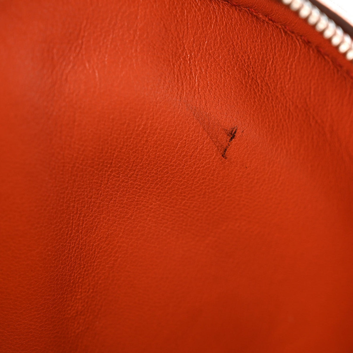 Swift Verso In-The-Loop Belt Bag Terre Battue