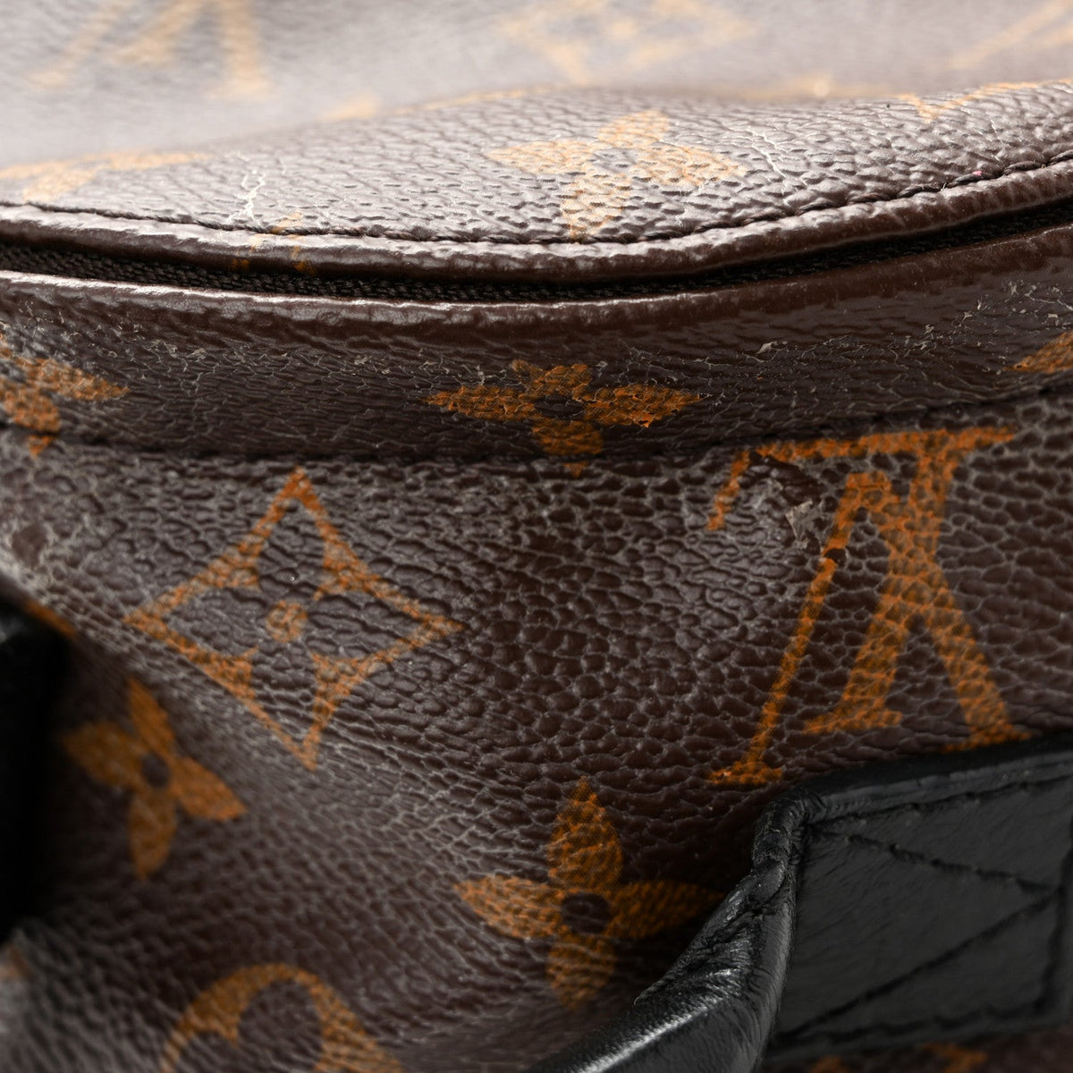 Monogram Palm Springs Backpack Mini
