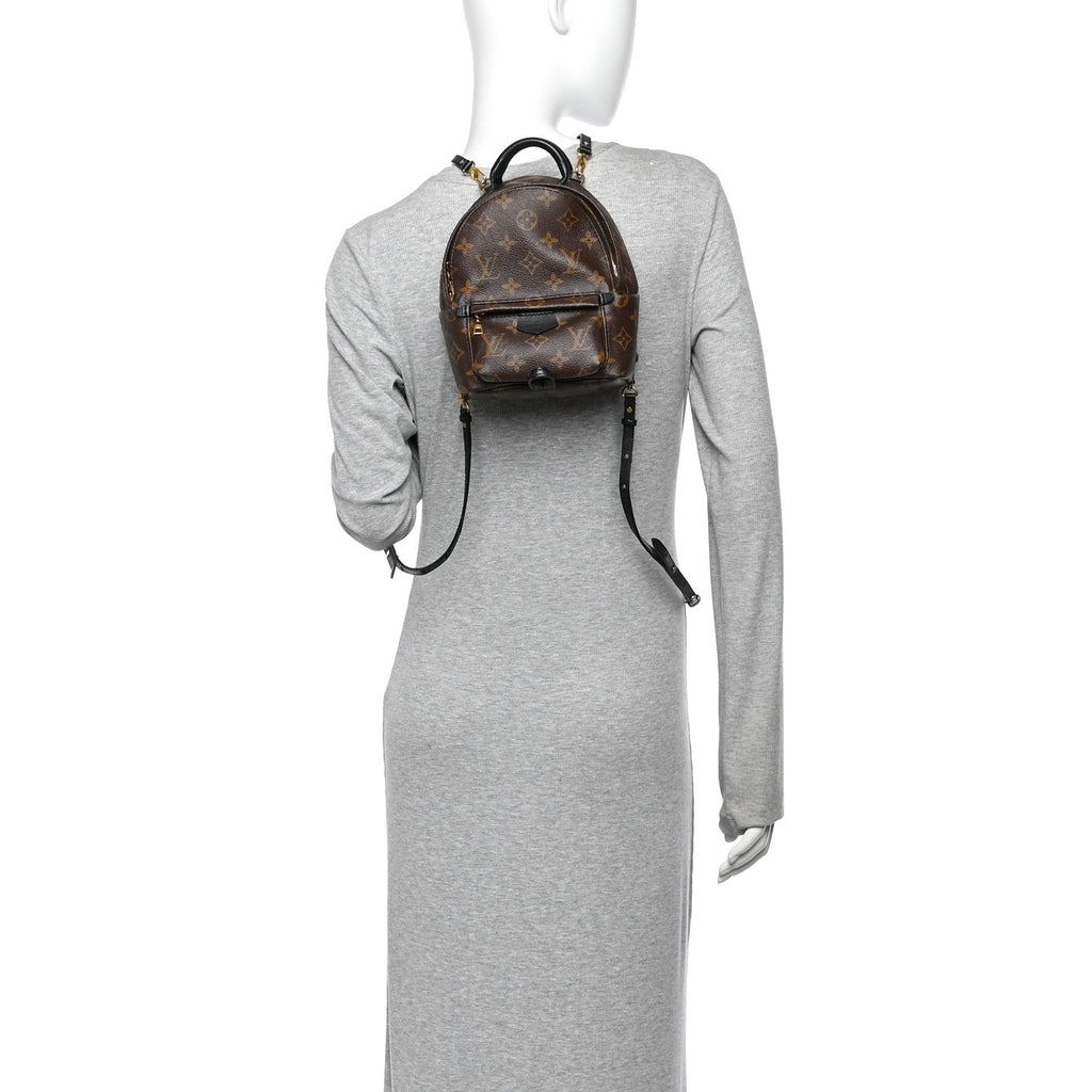 Monogram Palm Springs Backpack Mini