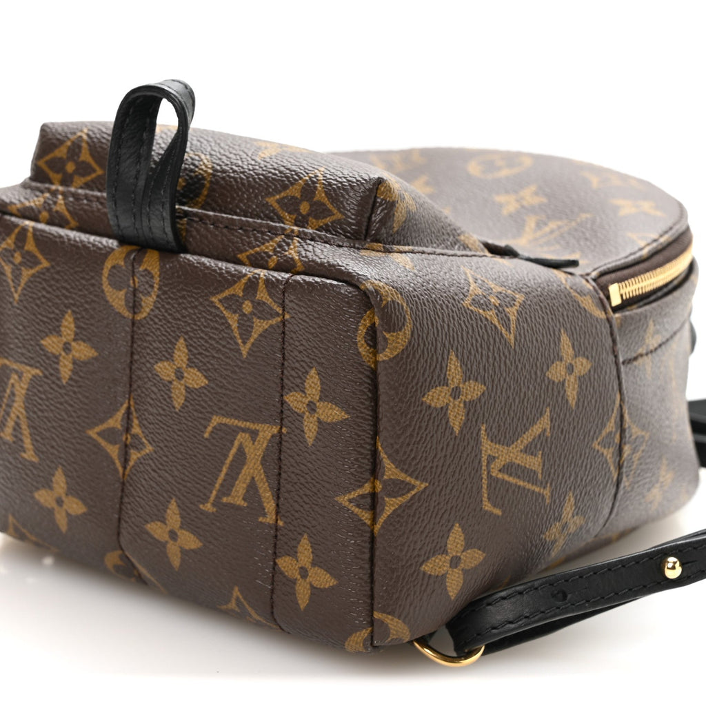 Monogram Palm Springs Backpack Mini