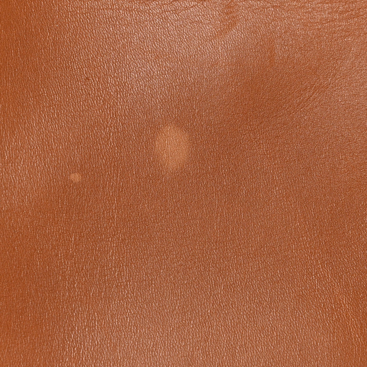 Natural Calfskin Seau Sangle Bucket Bag Tan