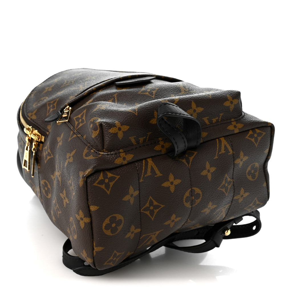 Monogram Palm Springs Backpack PM