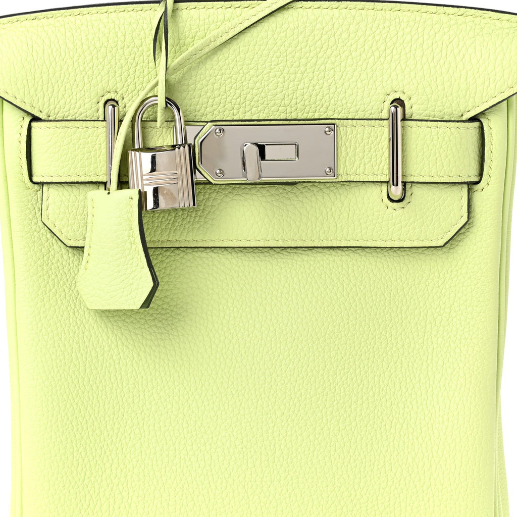 Togo Hac A Dos PM Backpack Vert Absinthe Vert Criquet