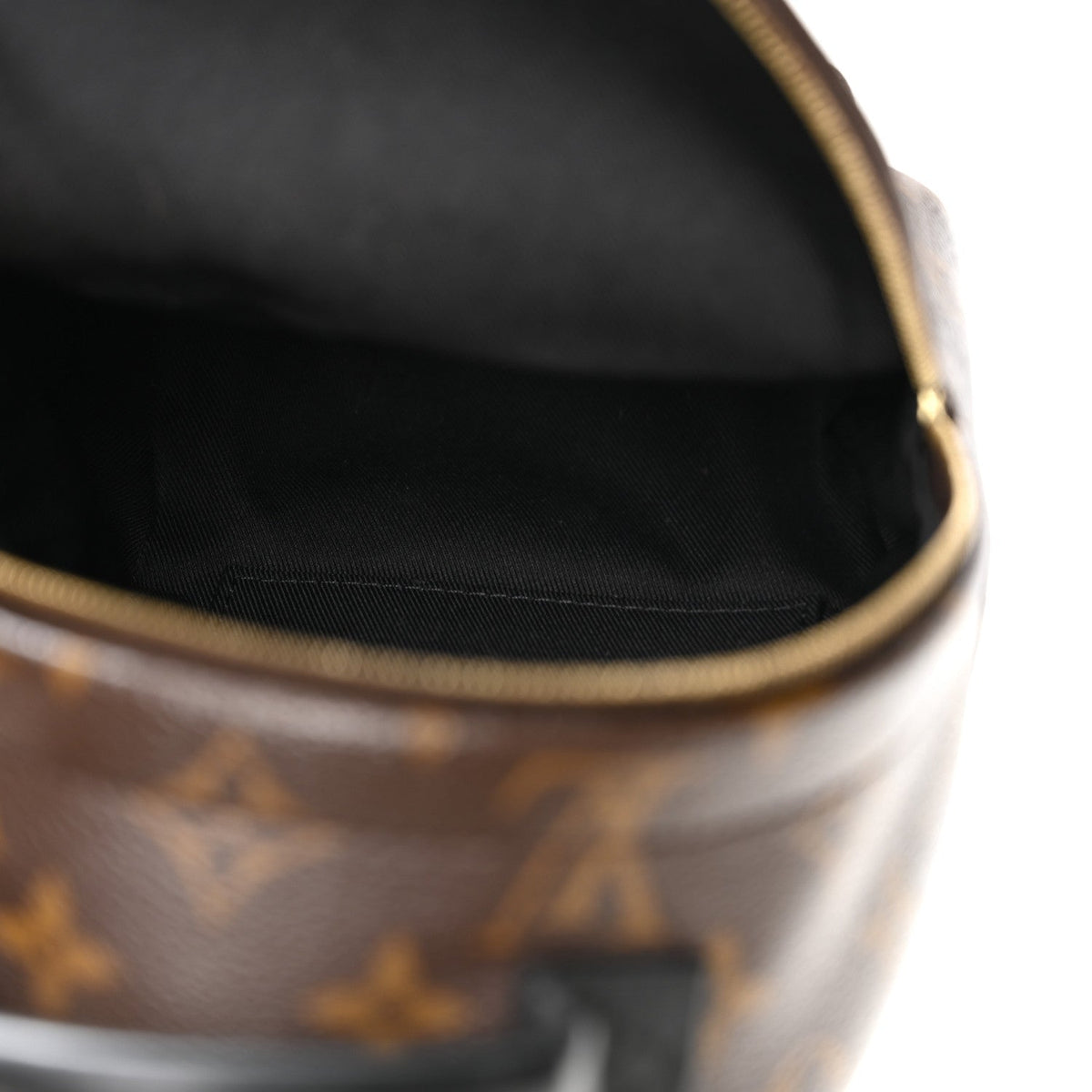 Monogram Palm Springs Backpack Mini