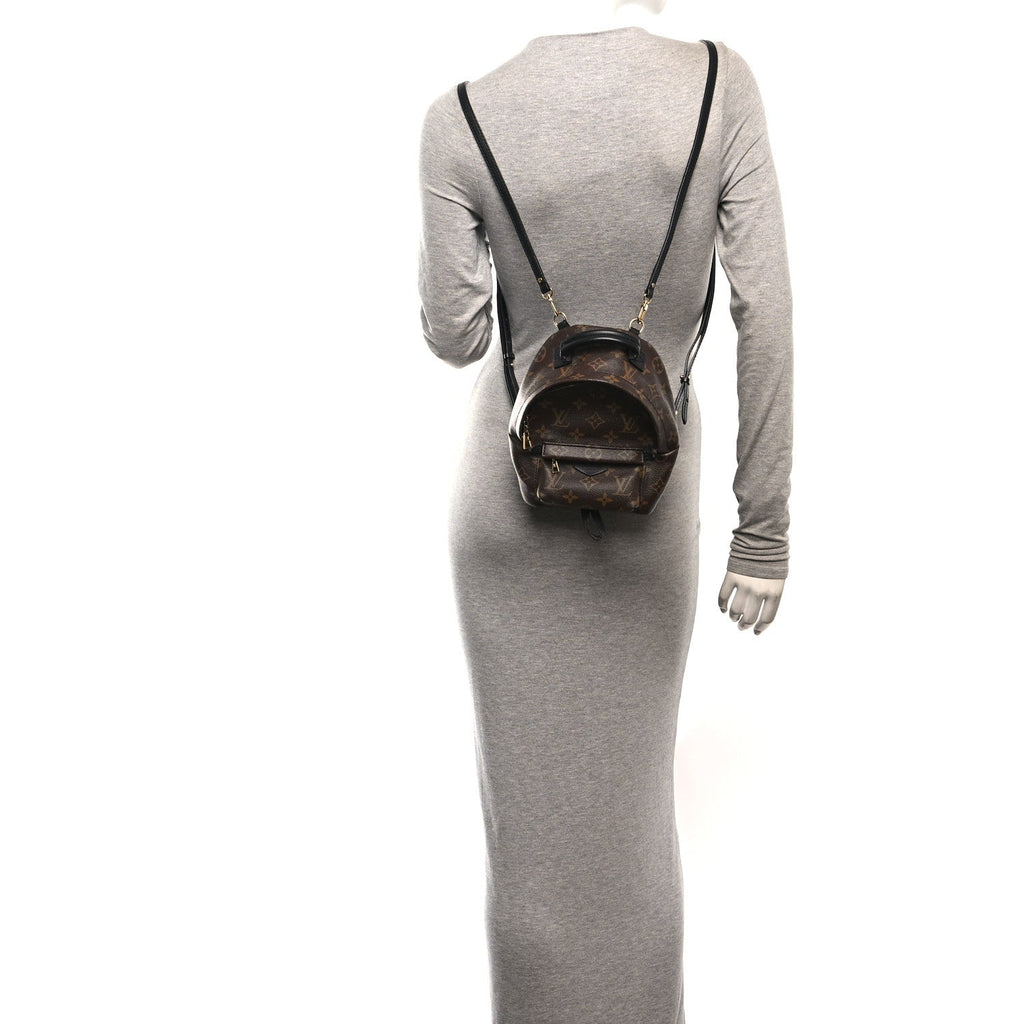 Monogram Palm Springs Backpack Mini