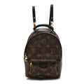 Monogram Palm Springs Backpack Mini