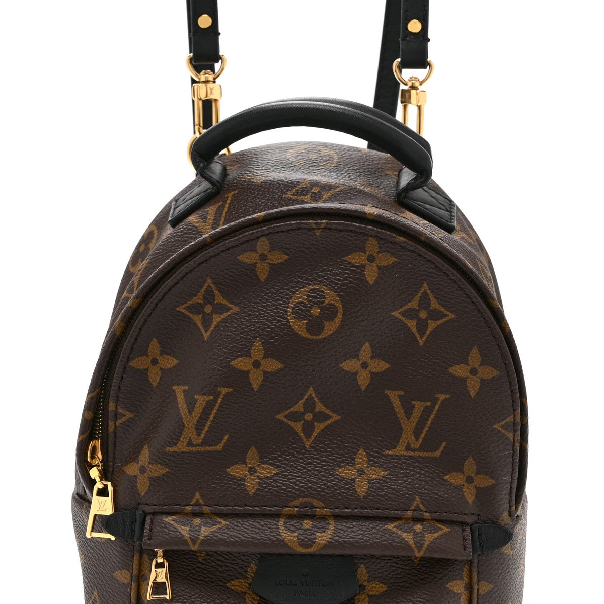 Monogram Palm Springs Backpack Mini