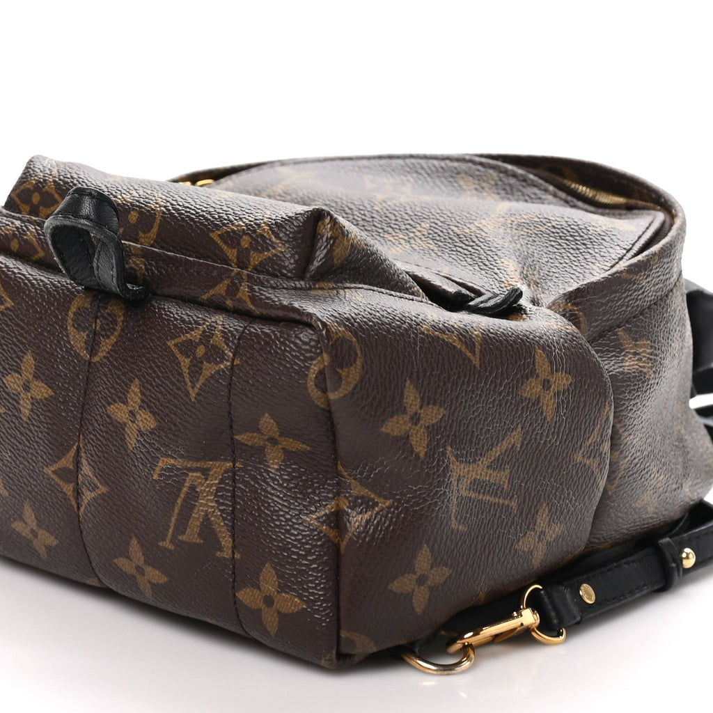 Monogram Palm Springs Backpack Mini