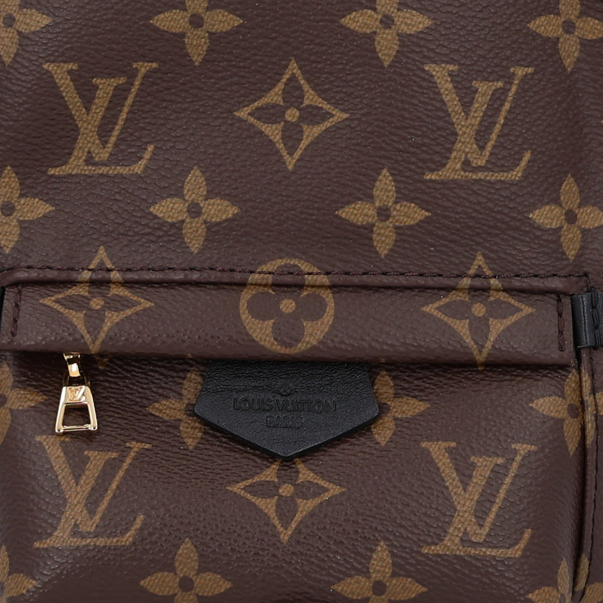 Monogram Palm Springs Backpack Mini