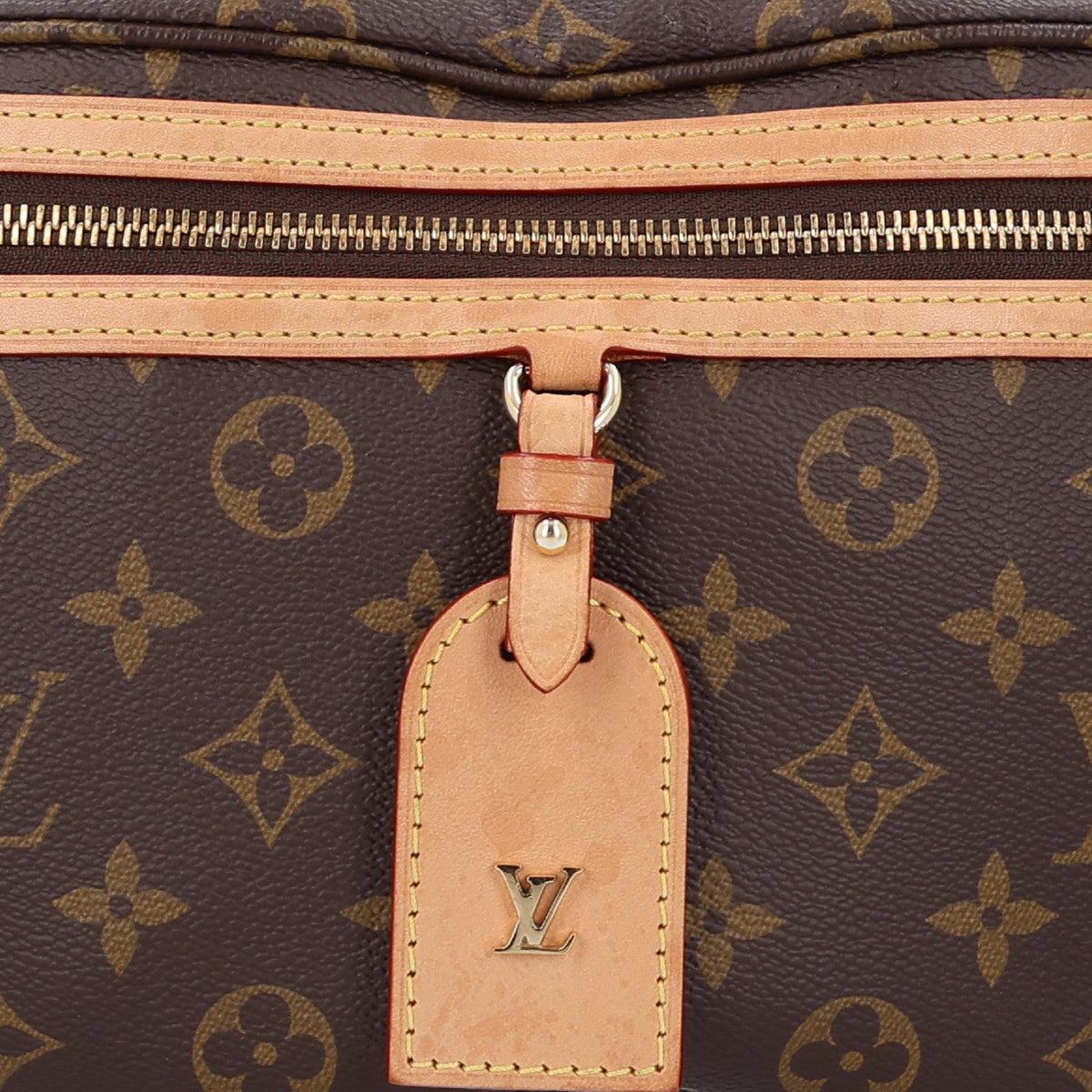Monogram High Rise Bumbag