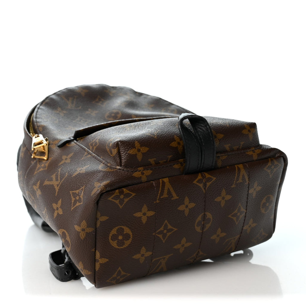 Monogram Palm Springs Backpack PM