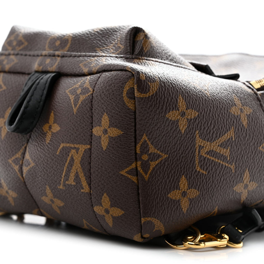 Monogram Palm Springs Backpack Mini