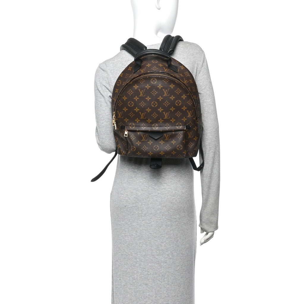 Monogram Palm Springs Backpack MM