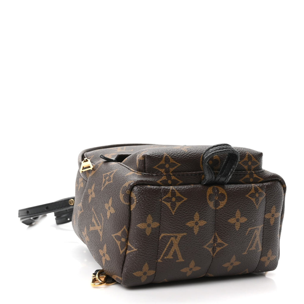 Monogram Palm Springs Backpack Mini