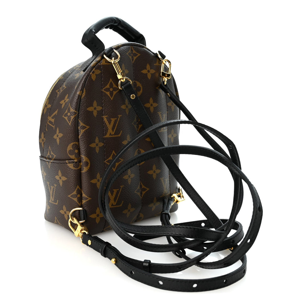 Monogram Palm Springs Backpack Mini