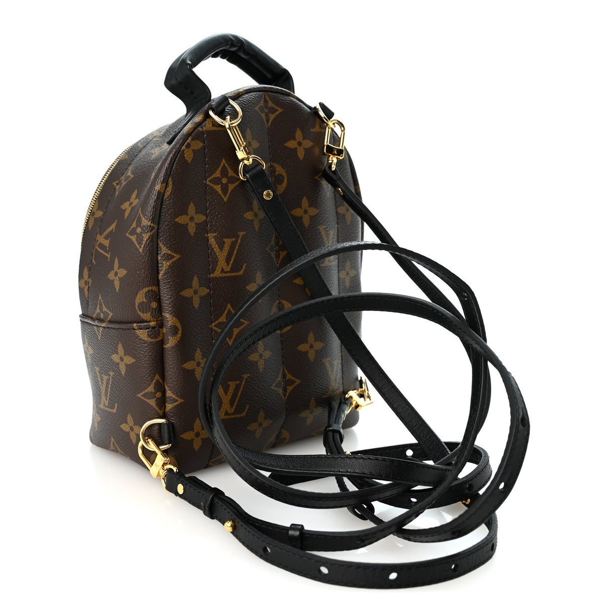 Monogram Palm Springs Backpack Mini