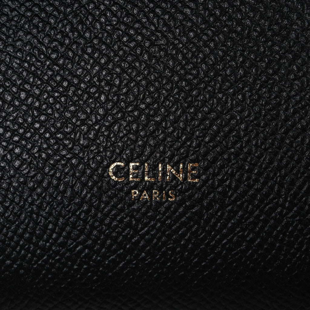 Grained Calfskin Pico Belt Bag Black
