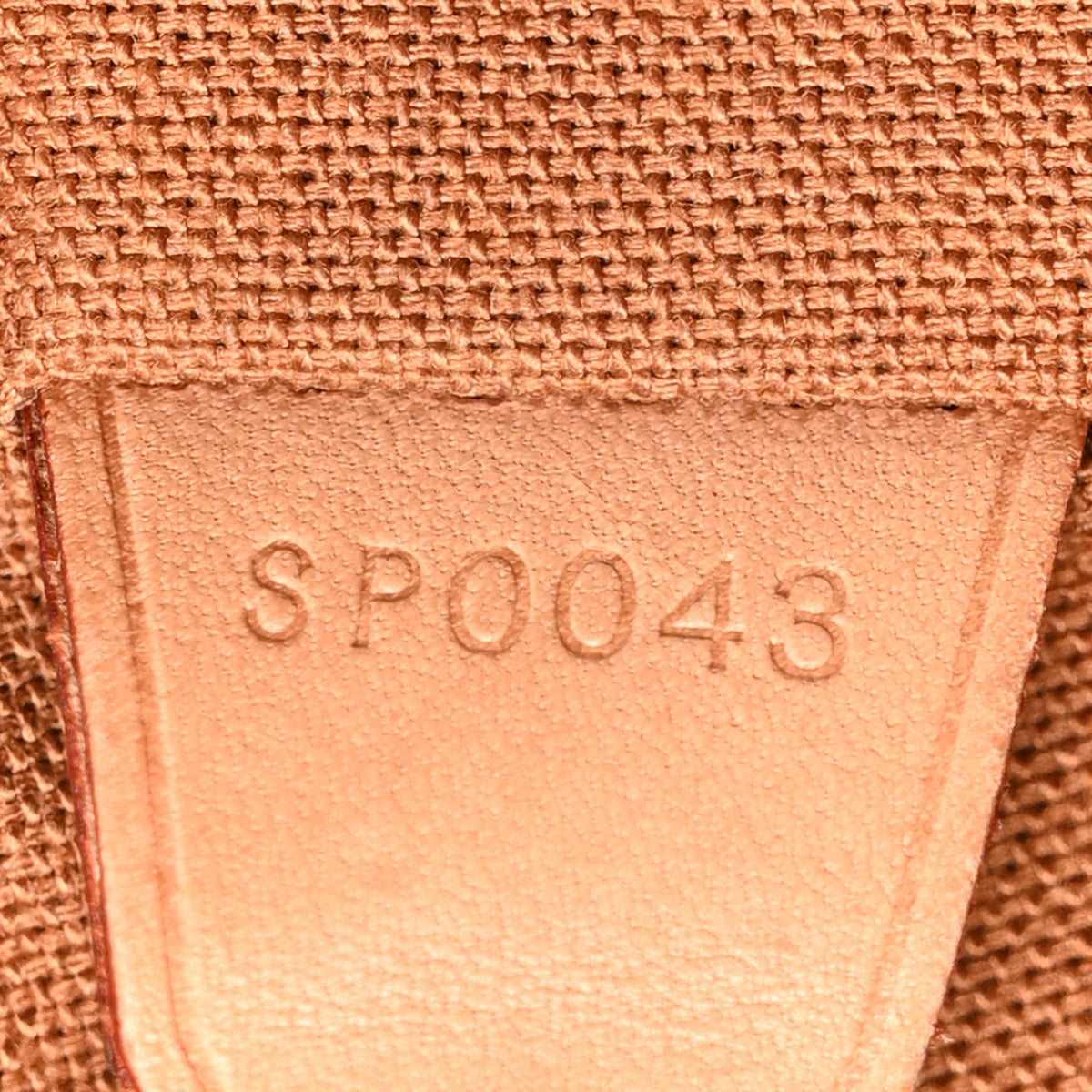 Monogram Montsouris GM Backpack