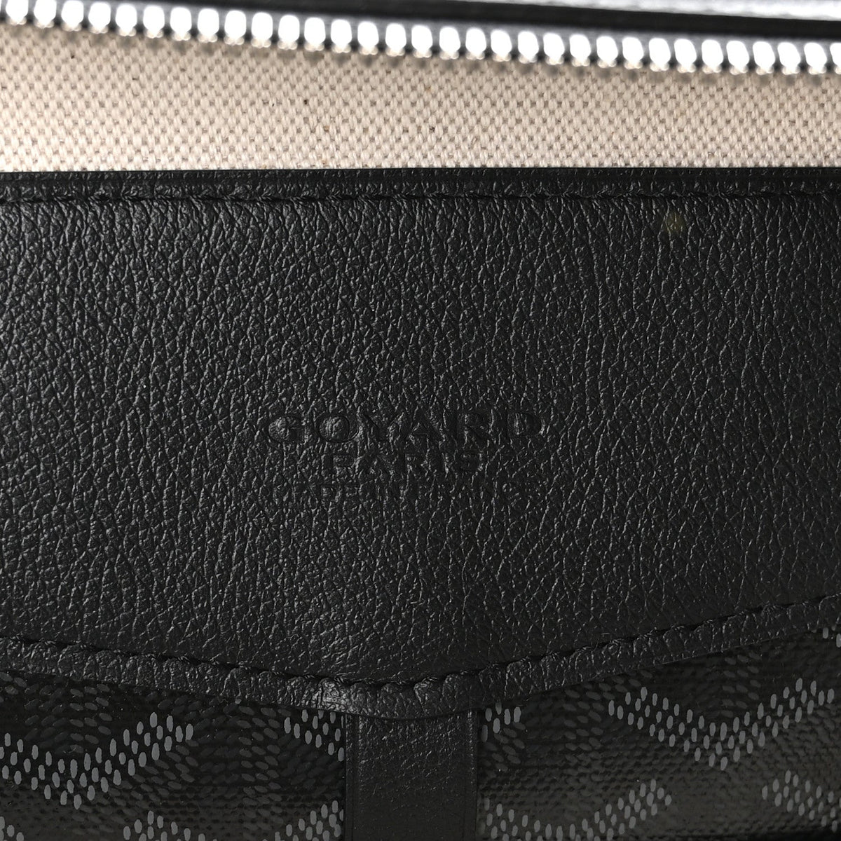Goyardine Calfskin Cisalpin MM Backpack Jet Black