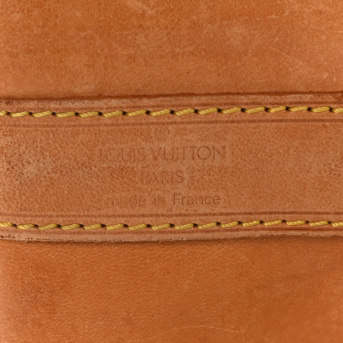 Monogram Randonnee GM Backpack