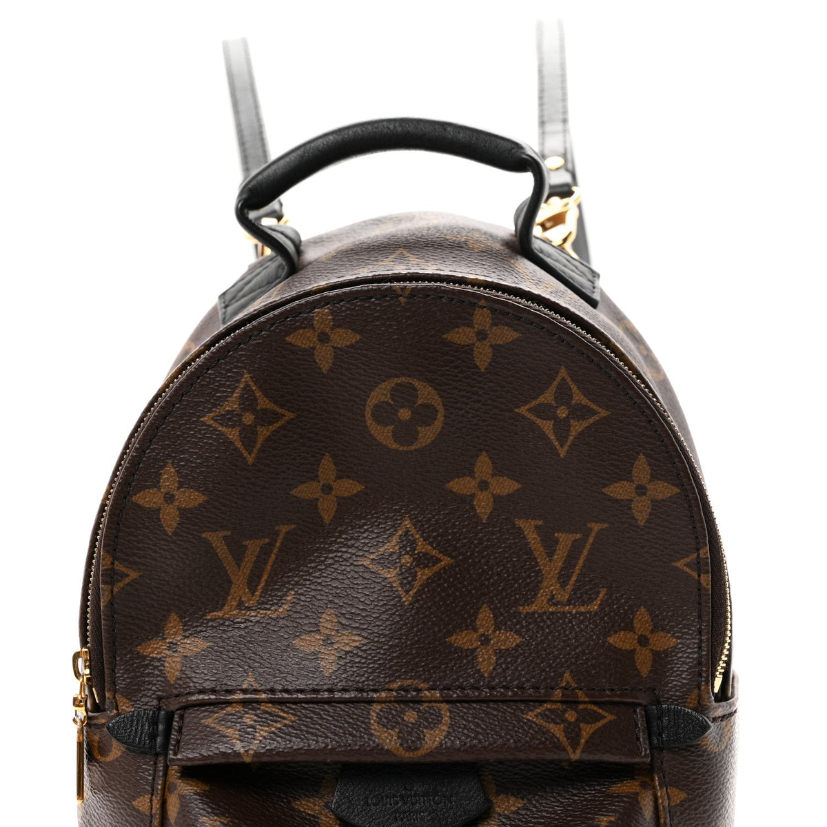 Monogram Palm Springs Backpack Mini