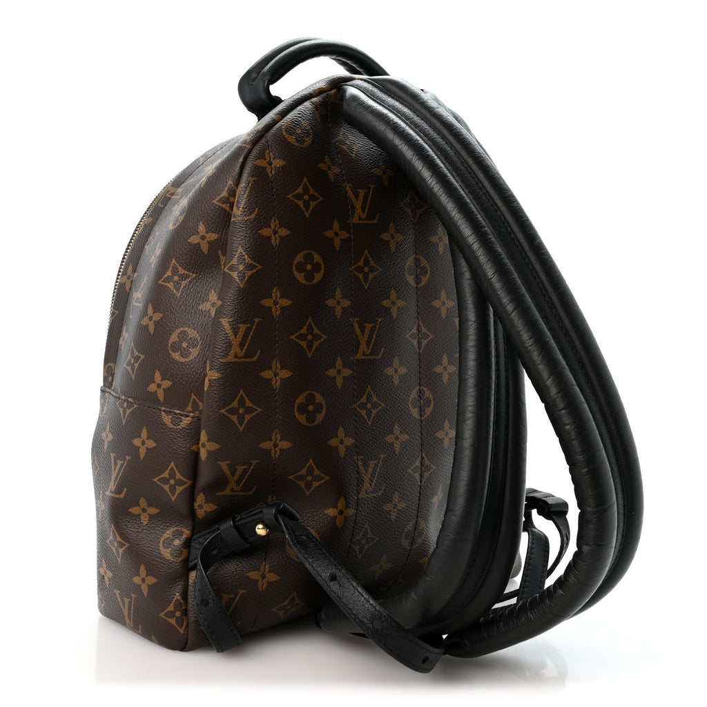 Monogram Palm Springs Backpack MM