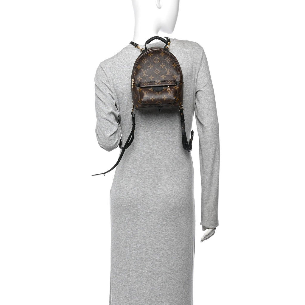 Monogram Palm Springs Backpack Mini