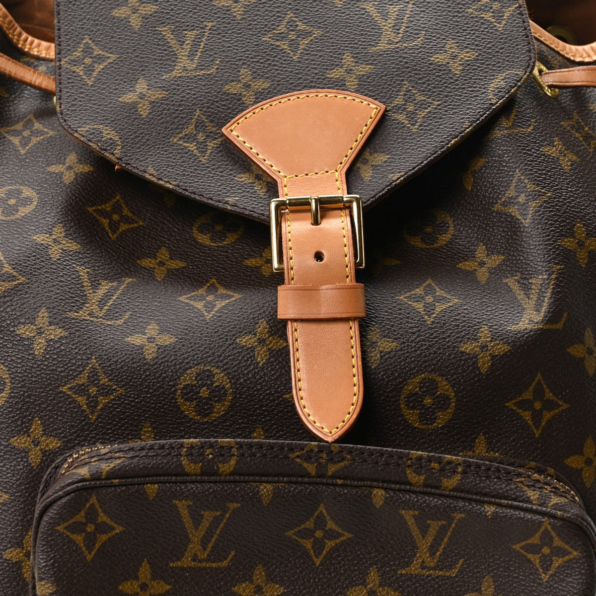 Monogram Montsouris GM Backpack