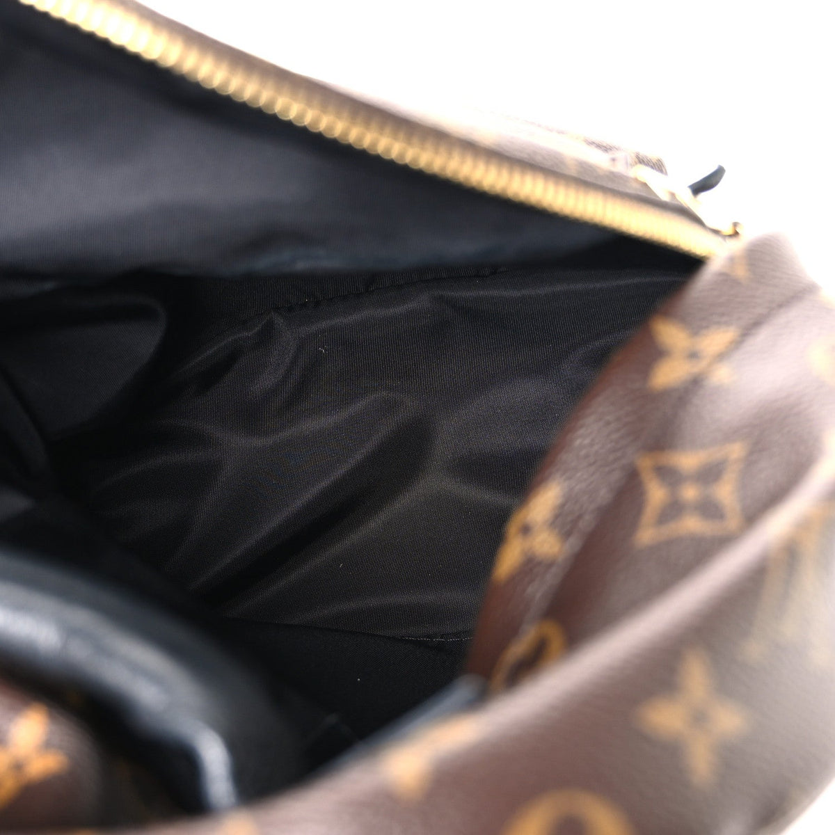 Monogram Palm Springs Backpack PM
