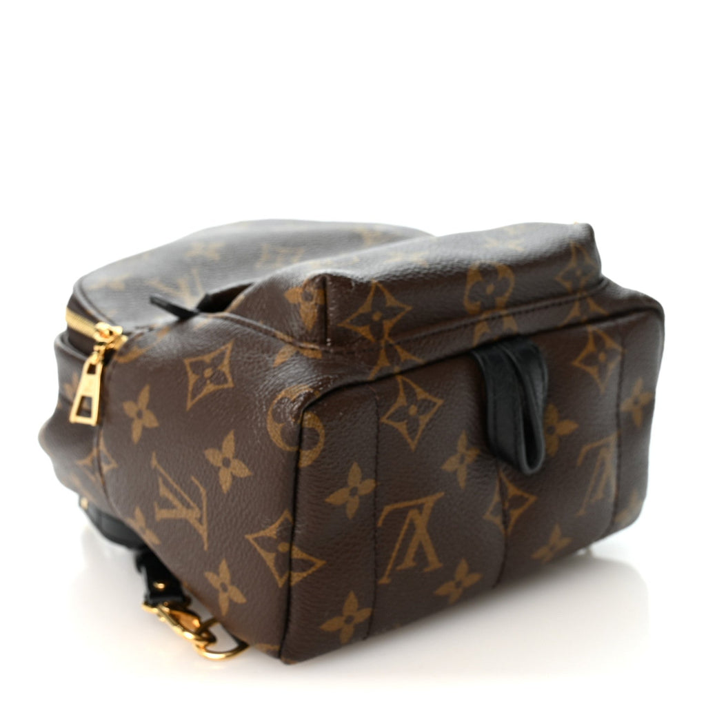 Monogram Palm Springs Backpack Mini