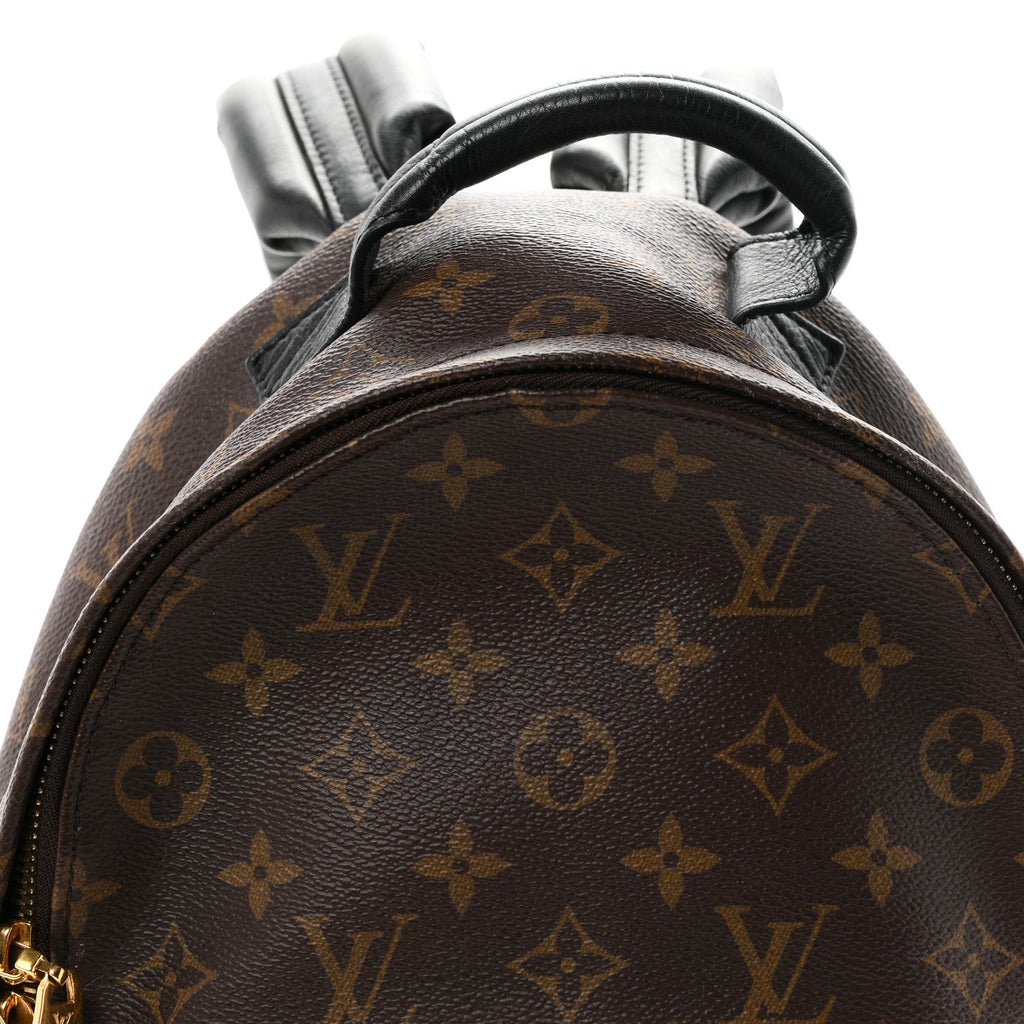 Monogram Palm Springs Backpack PM
