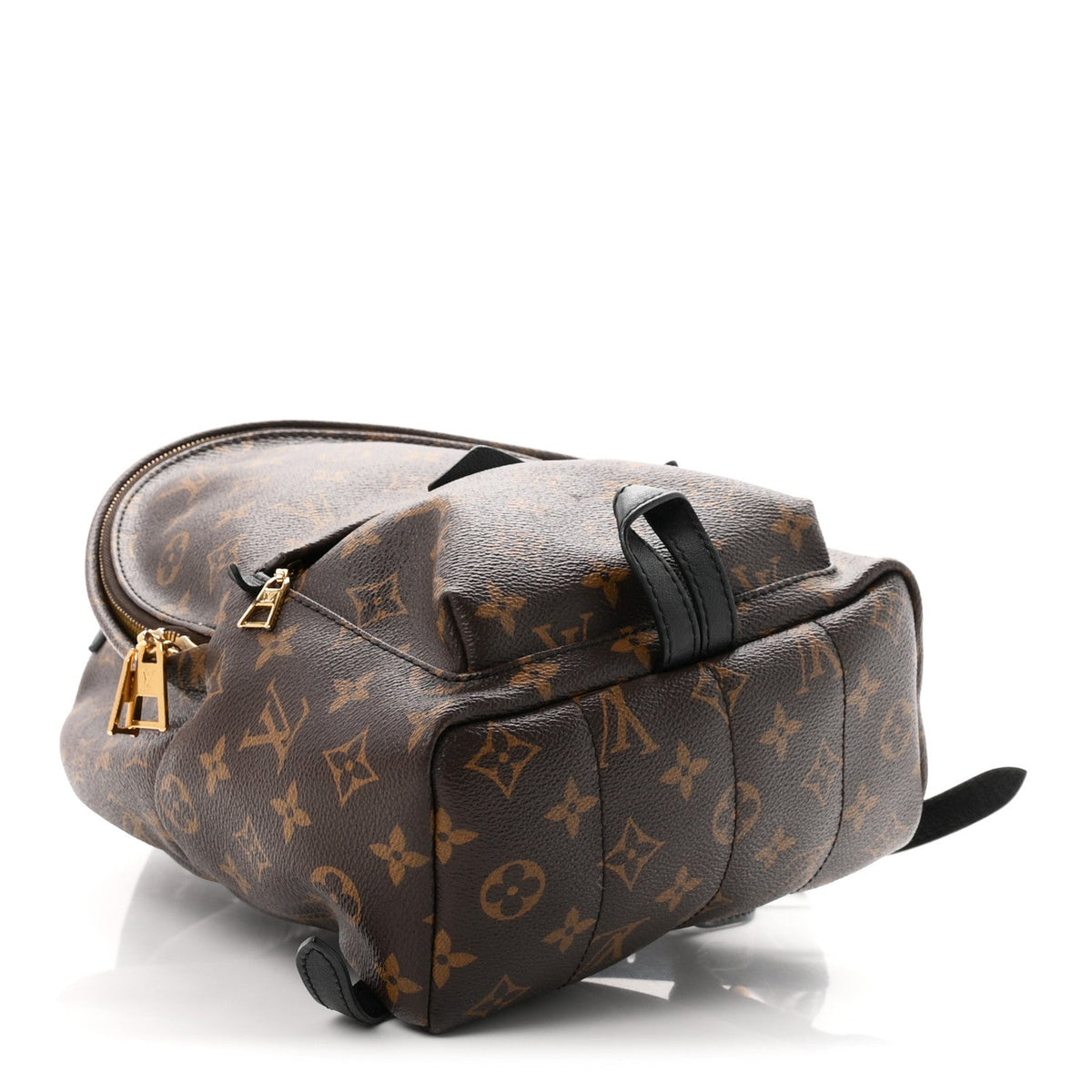 Monogram Palm Springs Backpack PM