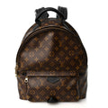 Monogram Palm Springs Backpack MM